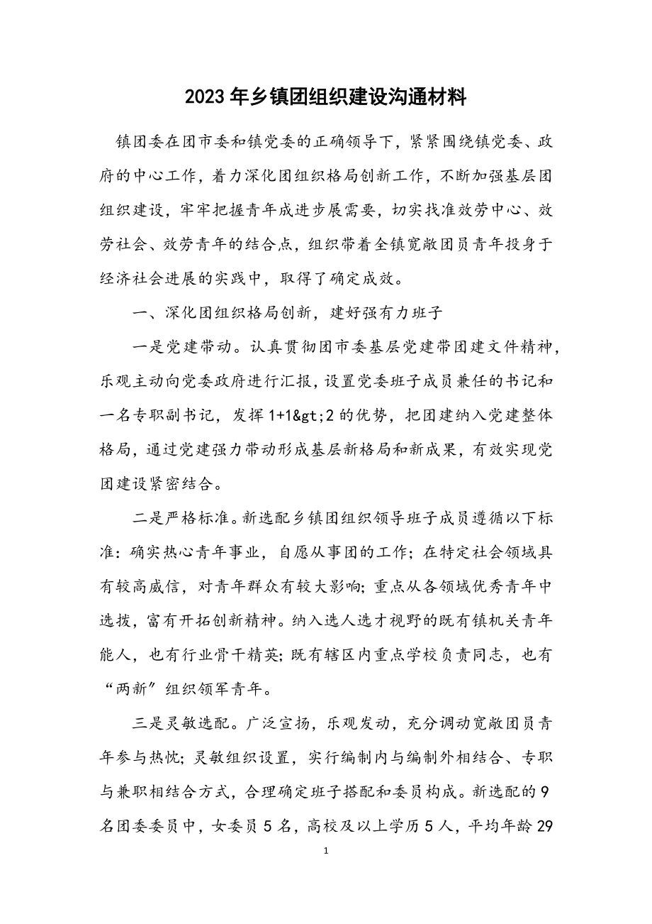 2023年乡镇团组织建设交流材料.docx_第1页