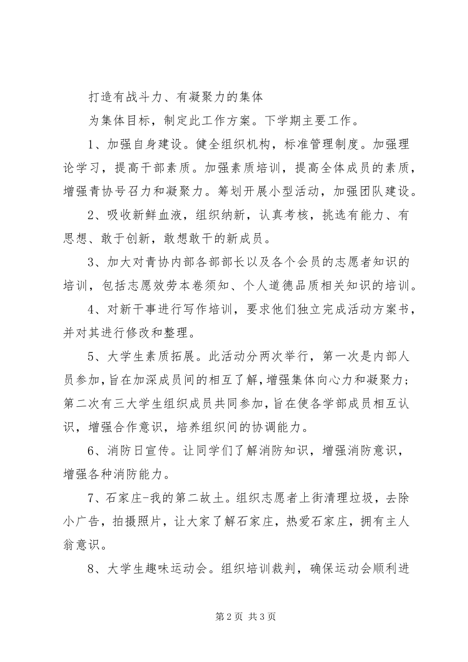 2023年青协的工作计划.docx_第2页