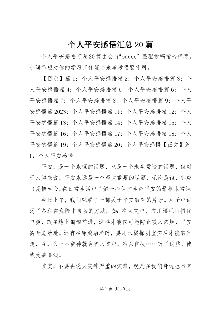 2023年个人安全感悟汇总20篇.docx_第1页