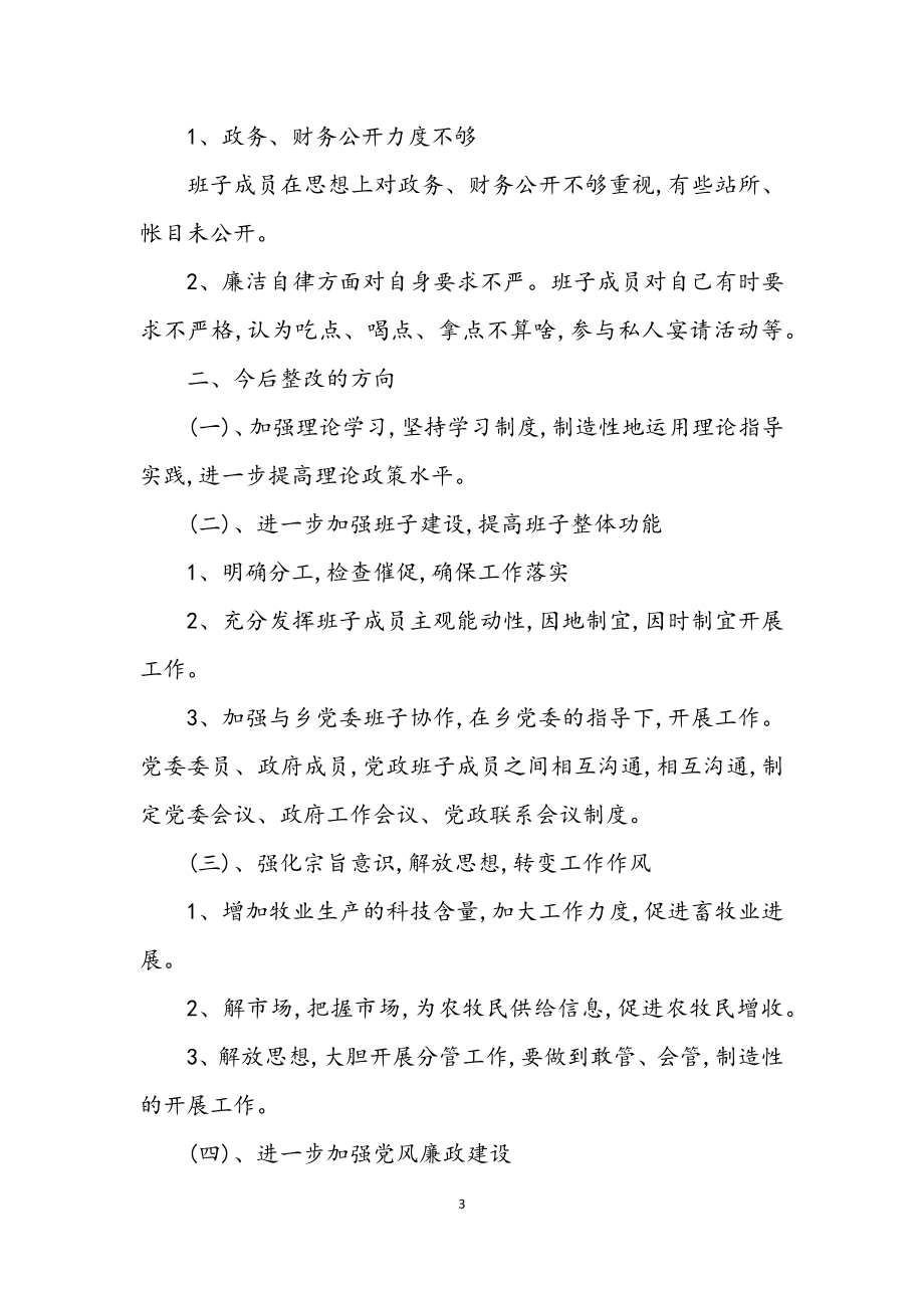 2023年政府民主生活会剖析发言提纲.docx_第3页