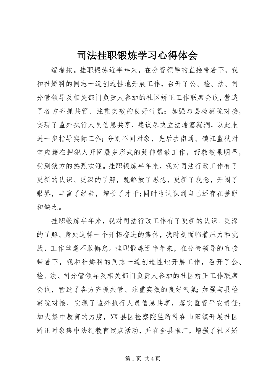 2023年司法挂职锻炼学习心得体会.docx_第1页