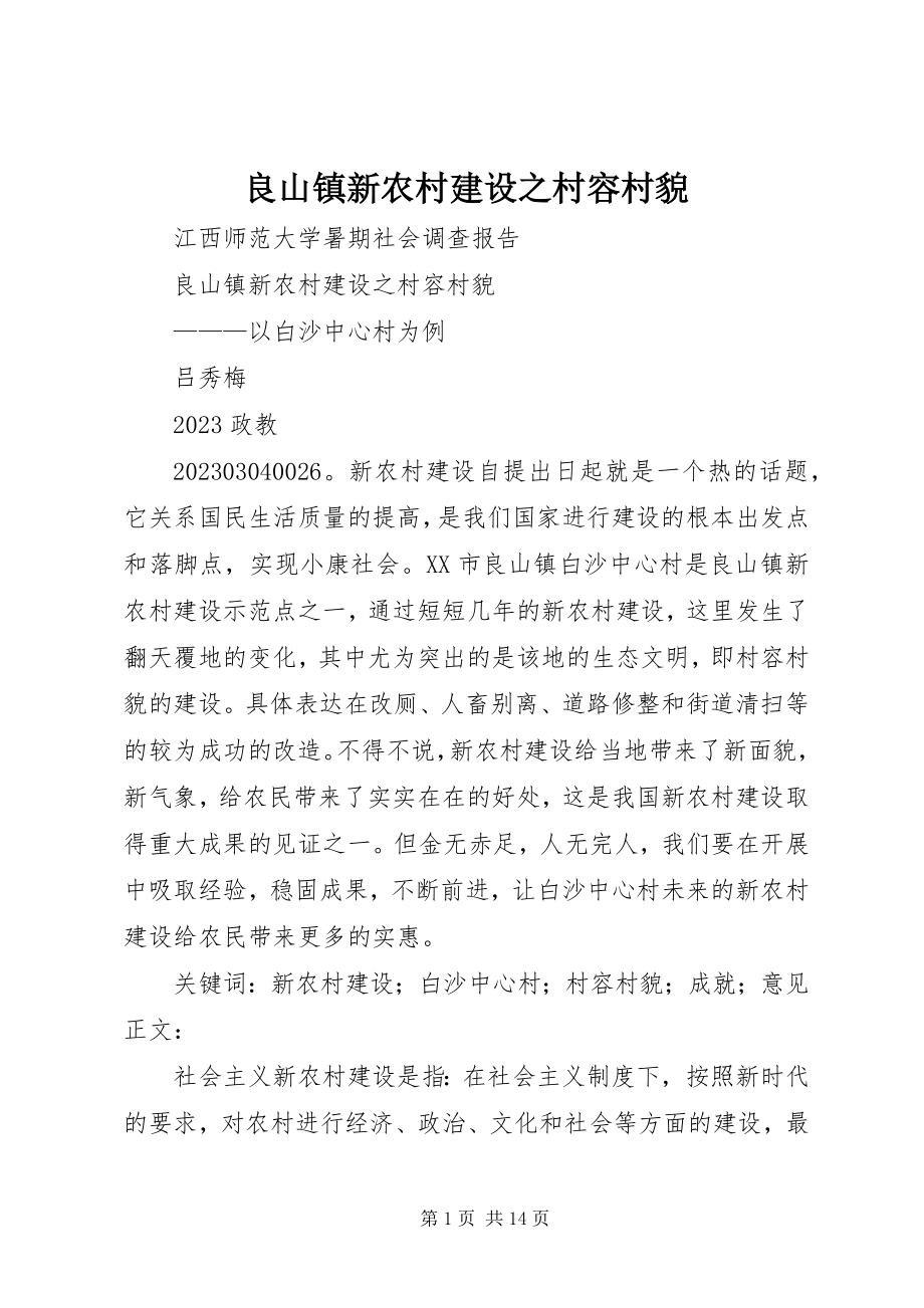 2023年良山镇新农村建设之村容村貌.docx_第1页