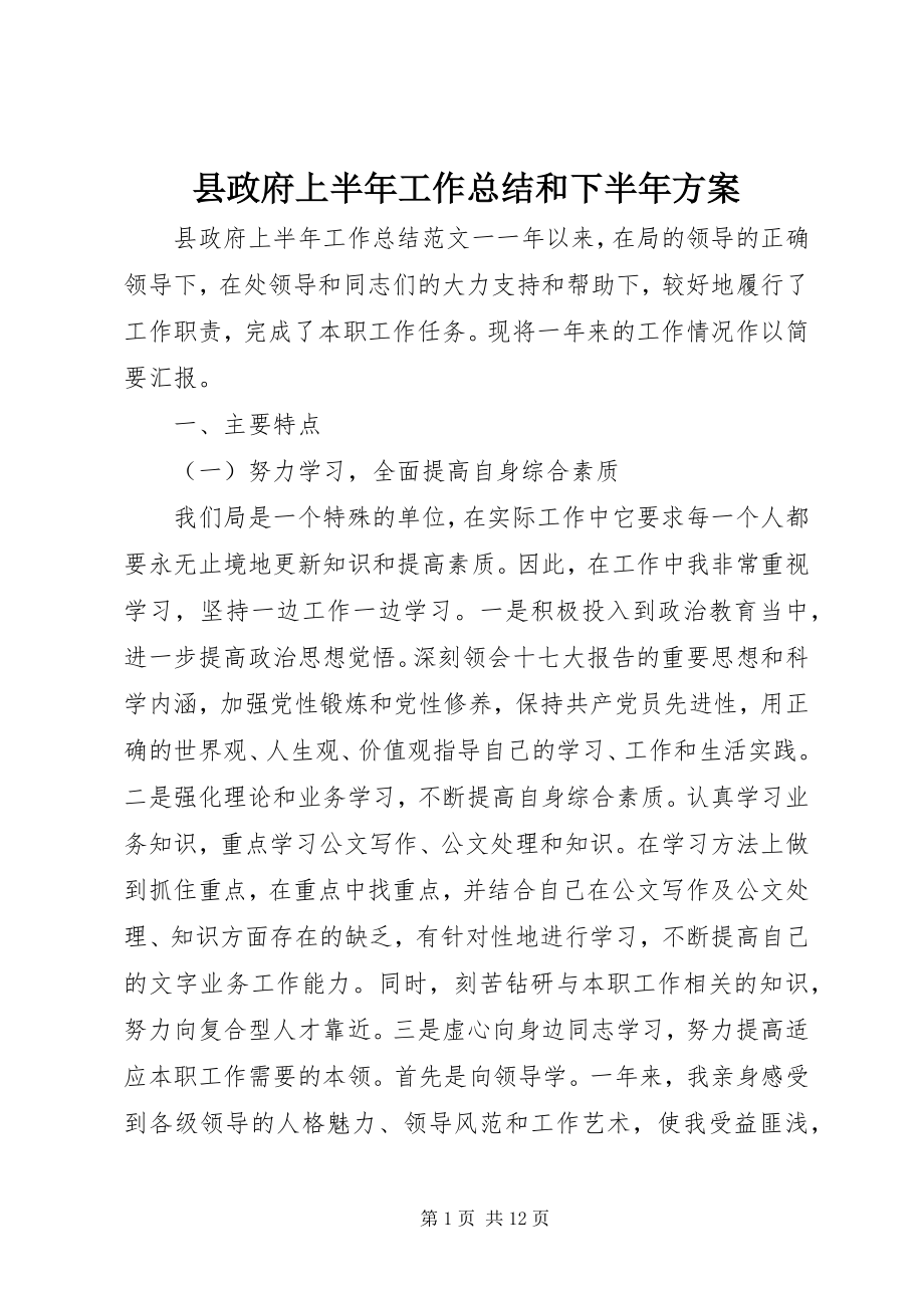 2023年县政府上半年工作总结和下半年计划.docx_第1页