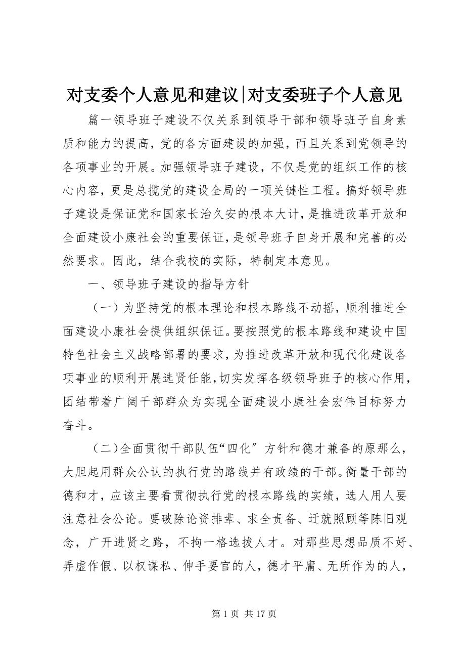 2023年对支委个人意见和建议对支委班子个人意见.docx_第1页