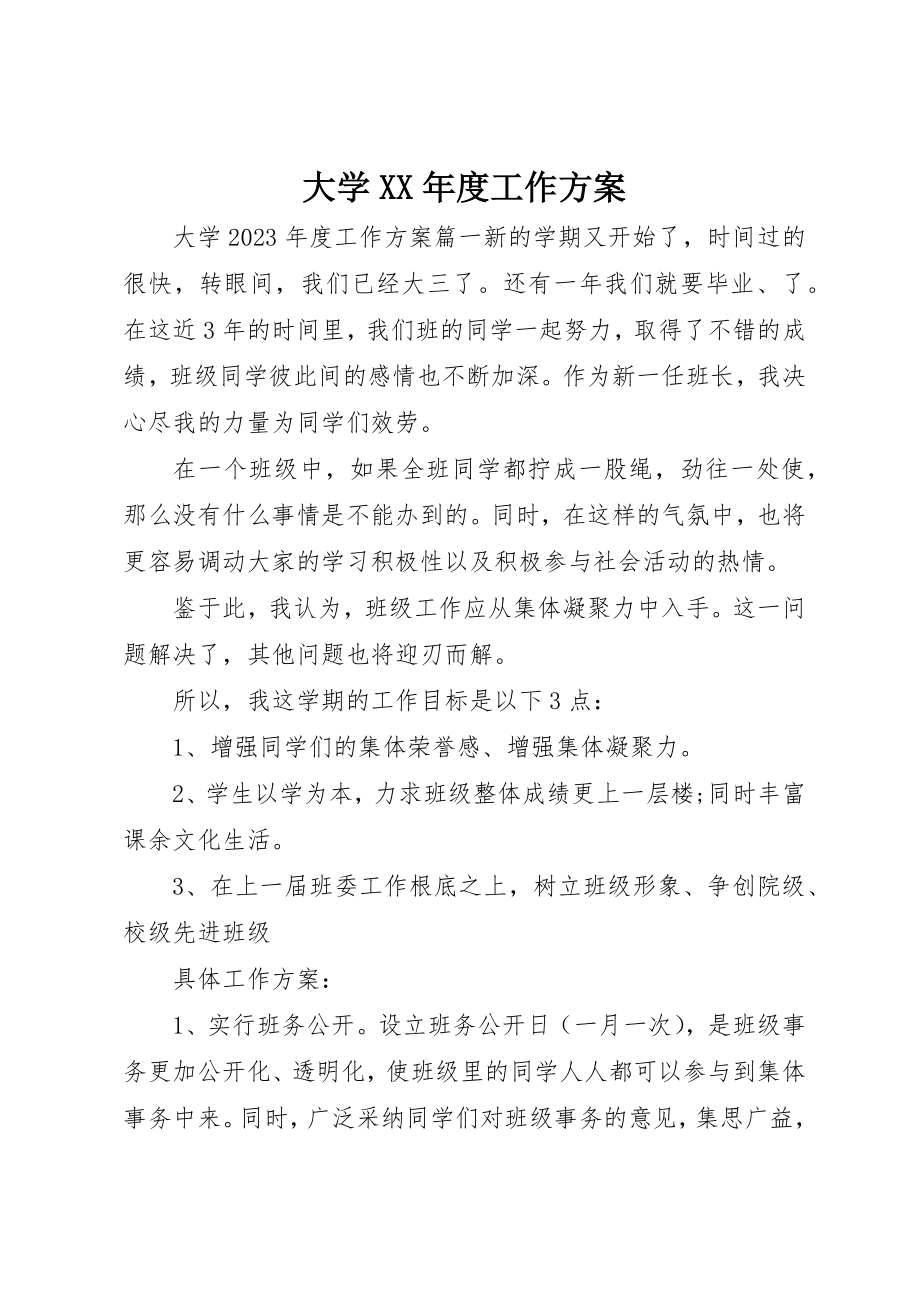 2023年大学某年度工作计划.docx_第1页