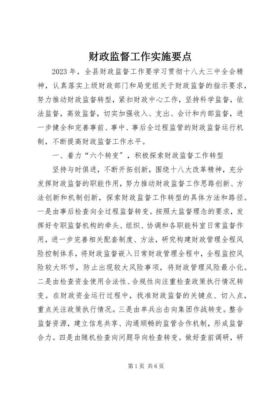 2023年财政监督工作实施要点.docx_第1页