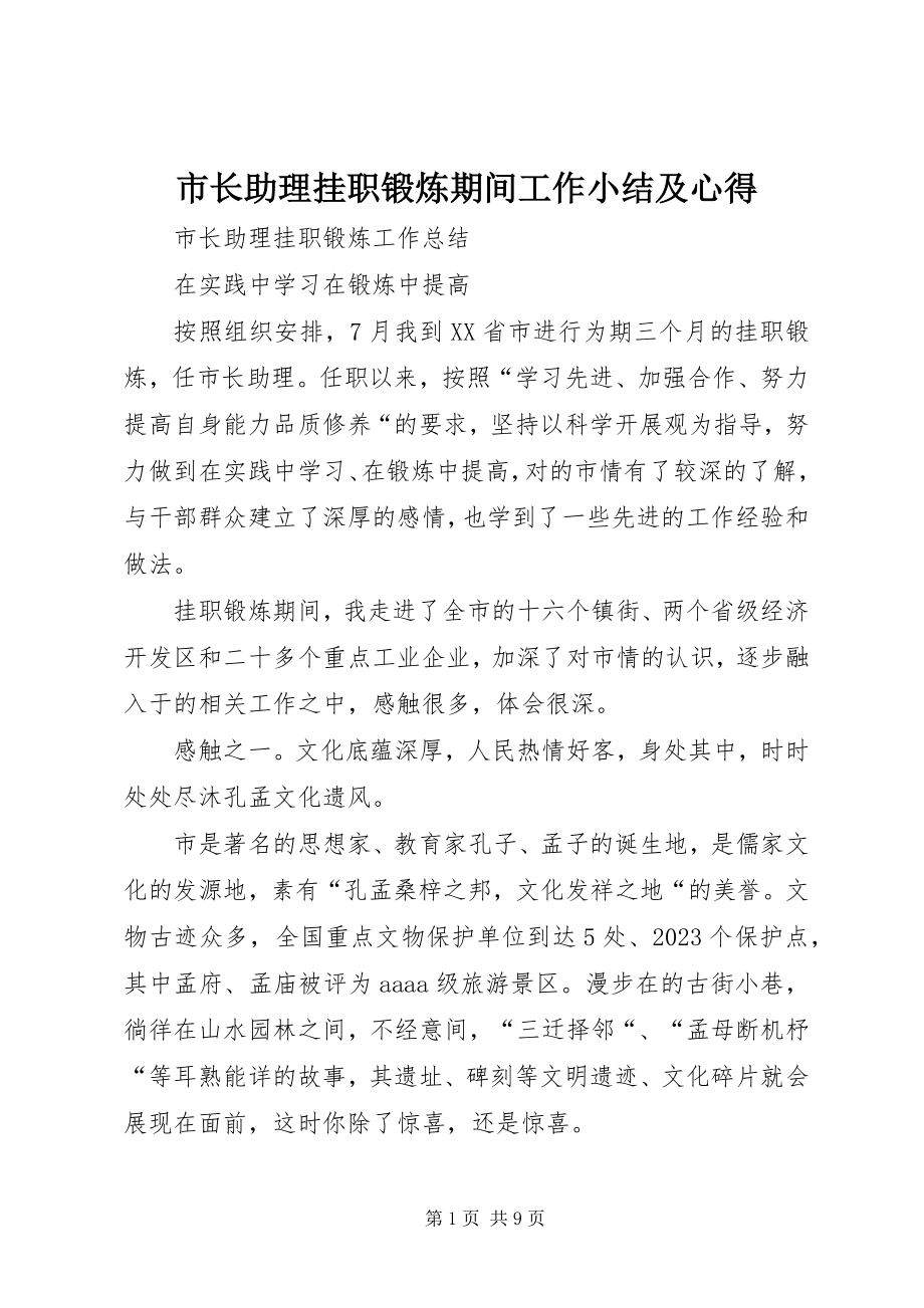 2023年市长助理挂职锻炼期间工作小结及心得.docx_第1页