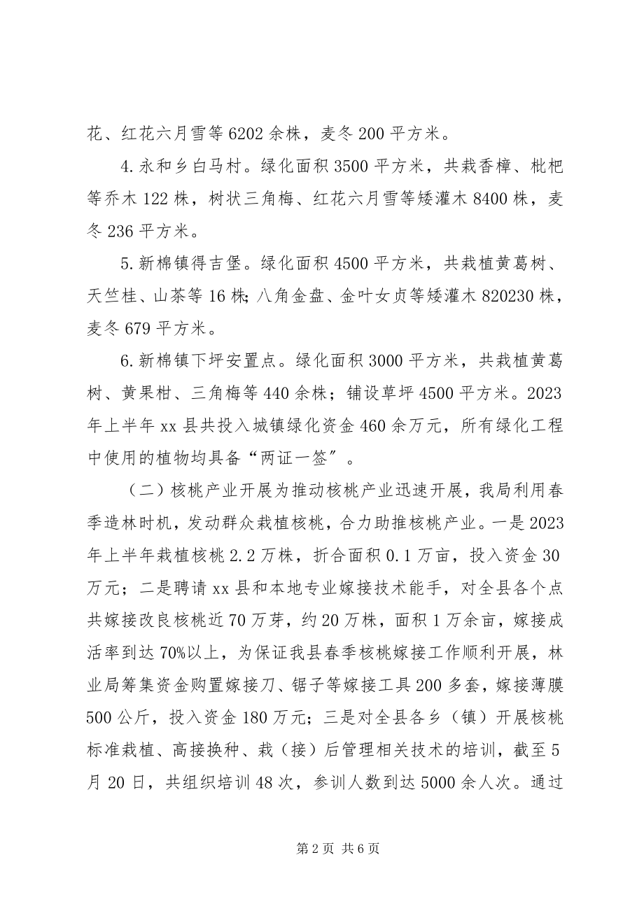 2023年乡镇上半年造林绿化工作总结.docx_第2页