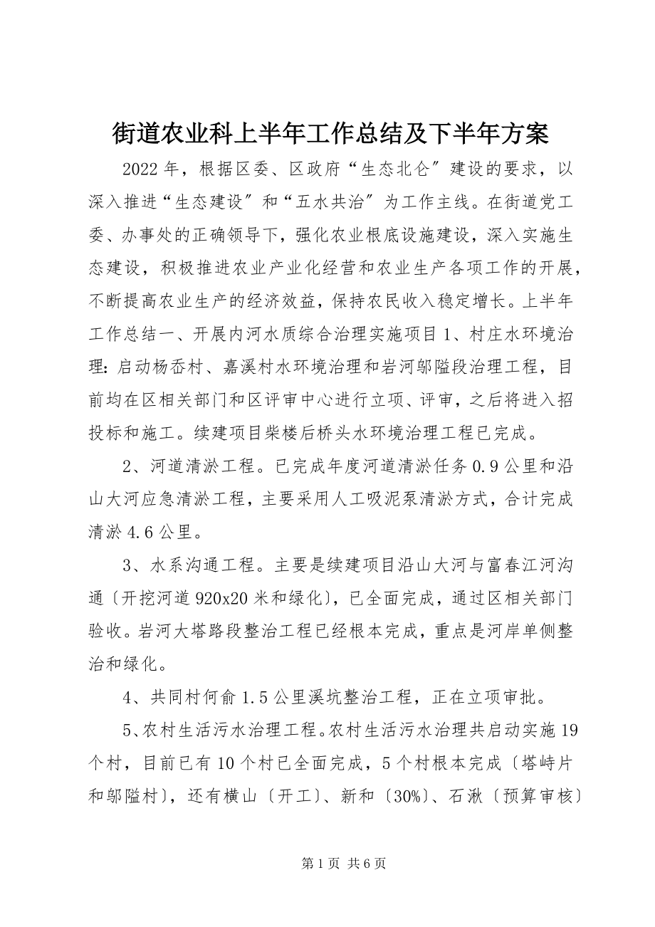 2023年街道农业科上半年工作总结及下半计划.docx_第1页