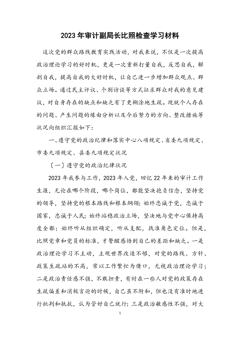 2023年审计副局长对照检查学习材料.docx_第1页