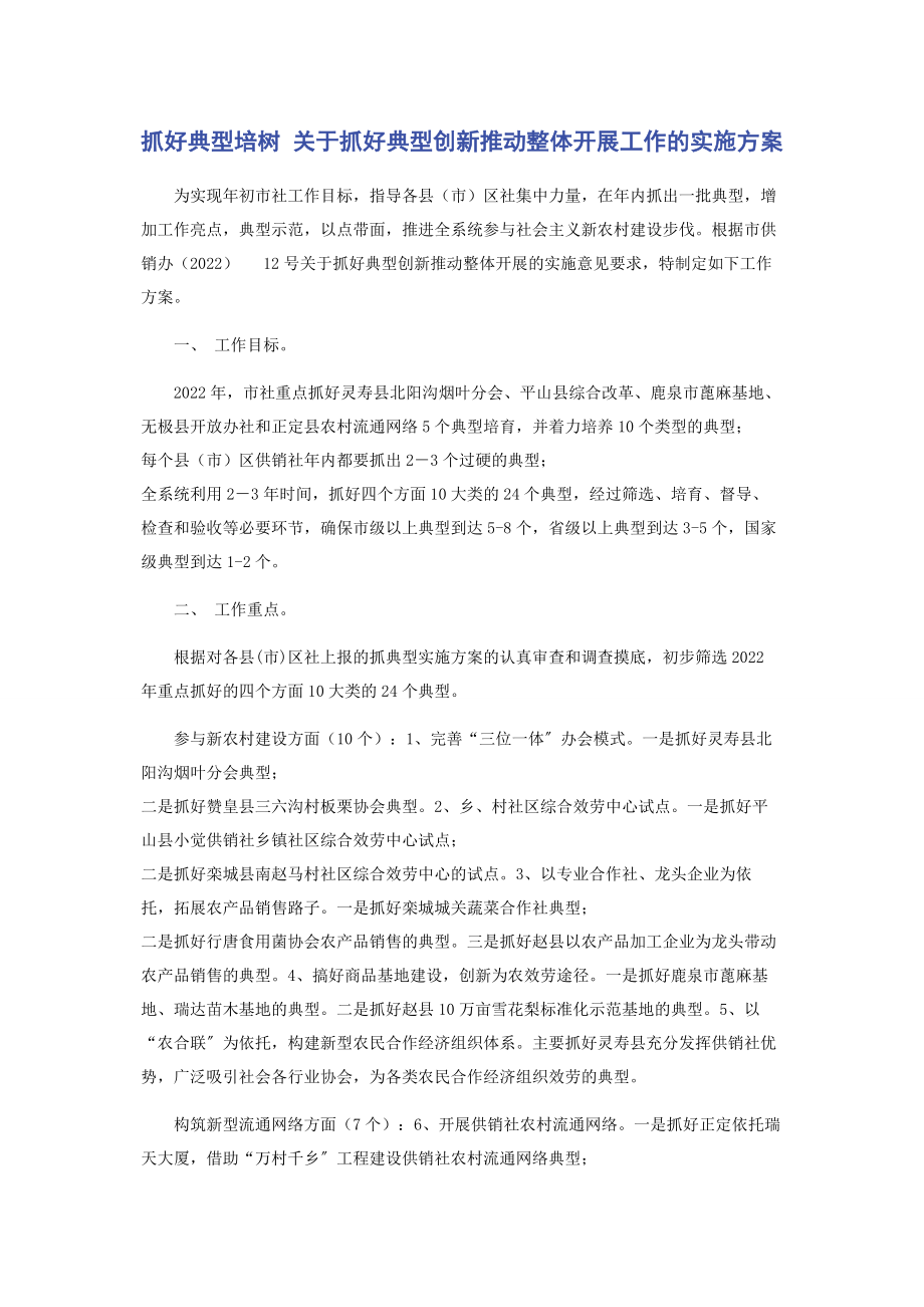 2023年抓好典型培树 抓好典型创新推动整体发展工作的实施方案.docx_第1页