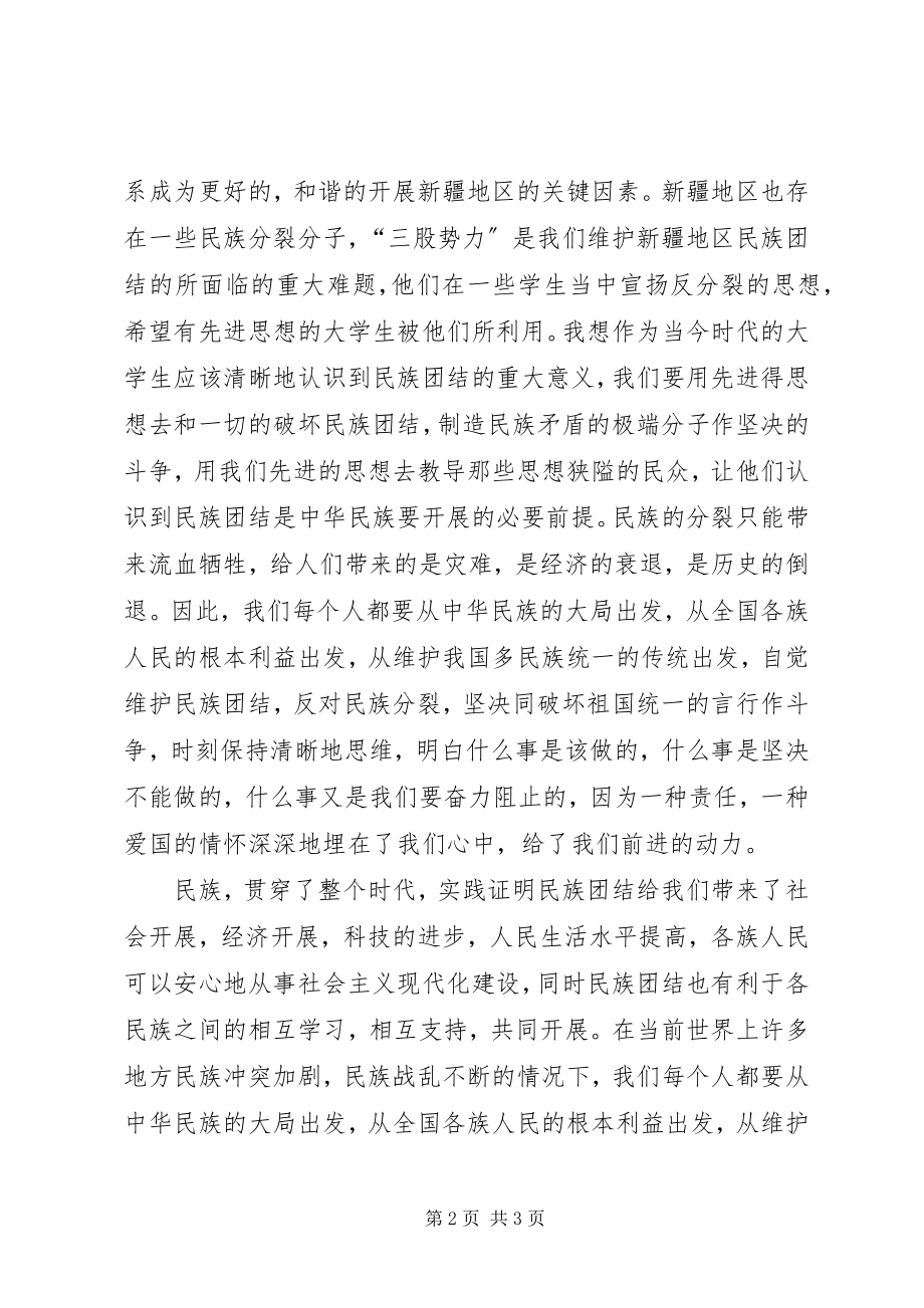 2023年坚决维护民族团结思想汇报.docx_第2页