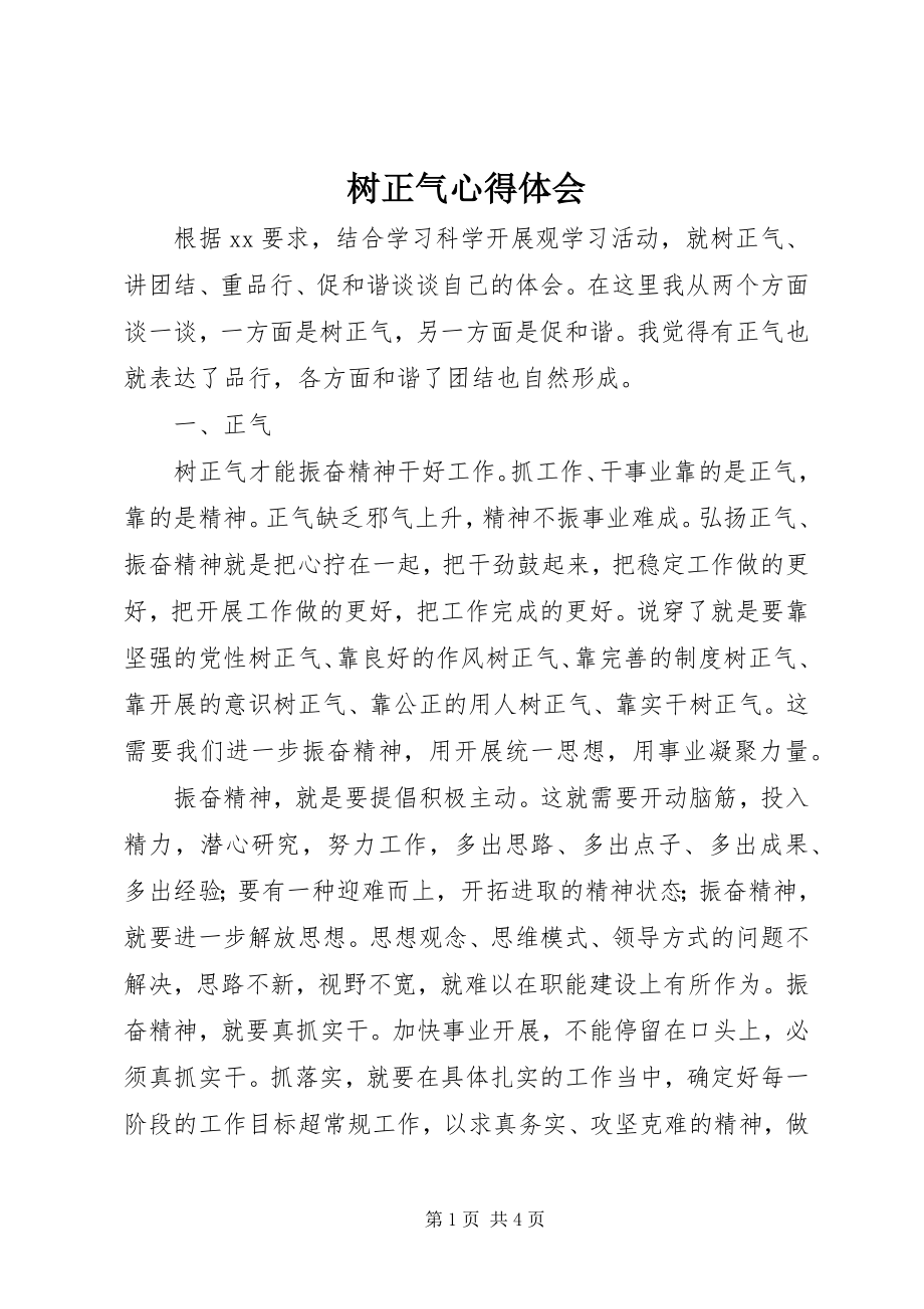 2023年树正气心得体会.docx_第1页