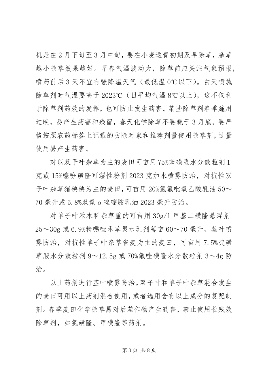 2023年XX县区春季小麦管理意见新编.docx_第3页