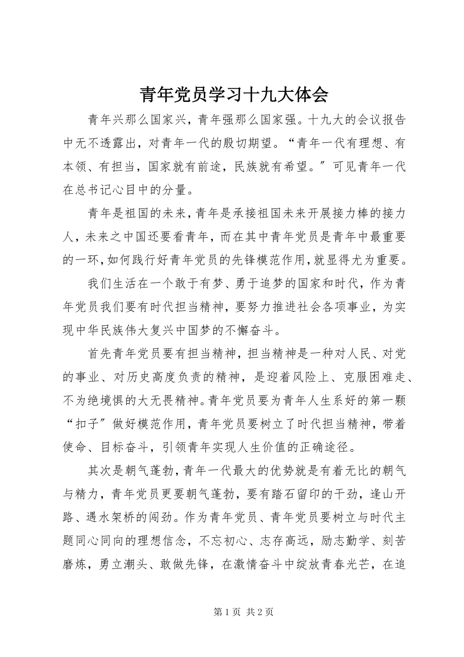 2023年青年党员学习十九大体会.docx_第1页