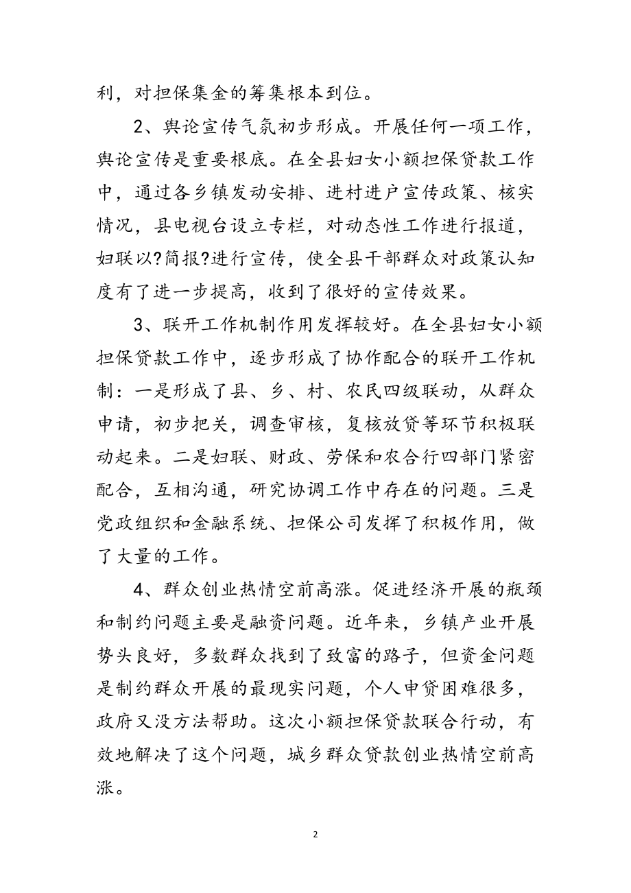 2023年书记在妇女担保贷款会发言范文.doc_第2页