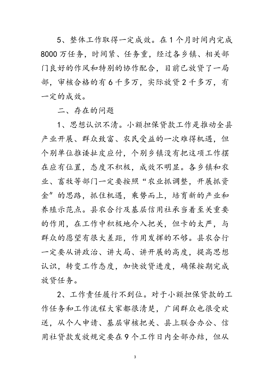 2023年书记在妇女担保贷款会发言范文.doc_第3页