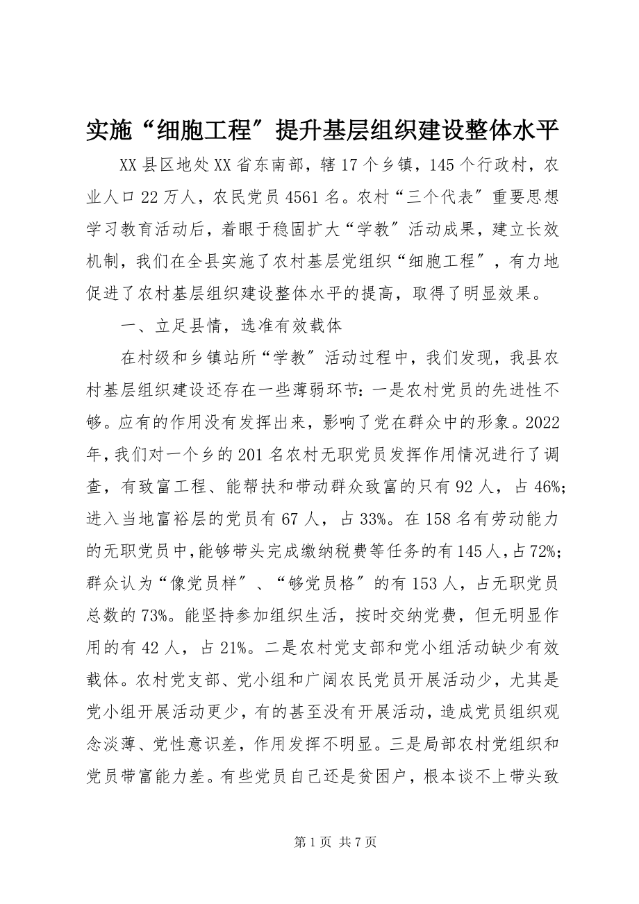 2023年实施“细胞工程”提升基层组织建设整体水平.docx_第1页