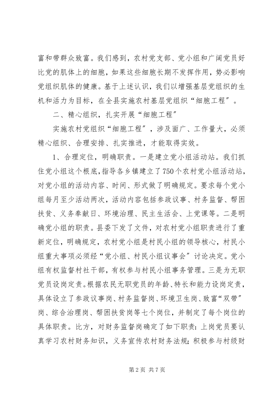 2023年实施“细胞工程”提升基层组织建设整体水平.docx_第2页