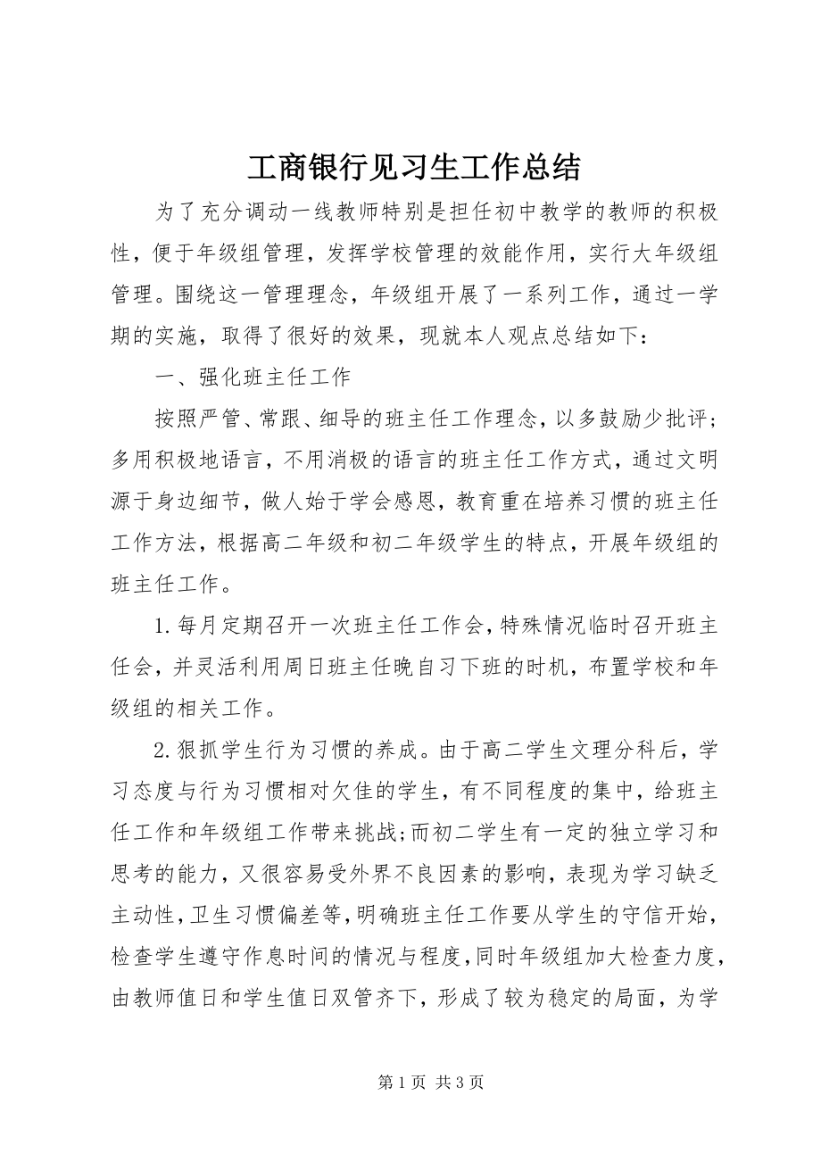 2023年工商银行见习生工作总结.docx_第1页