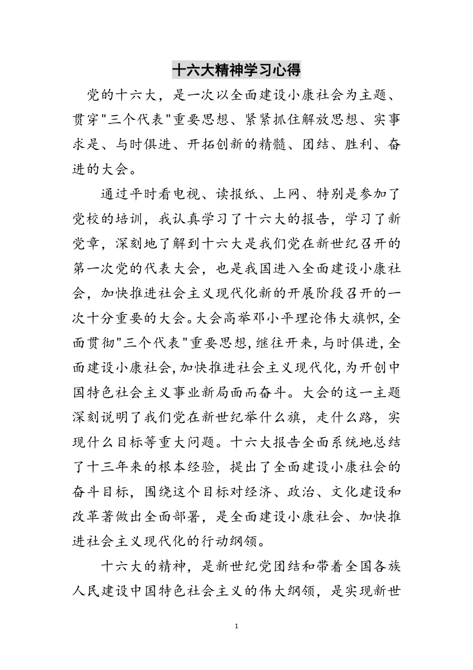 2023年十六大精神学习心得范文.doc_第1页