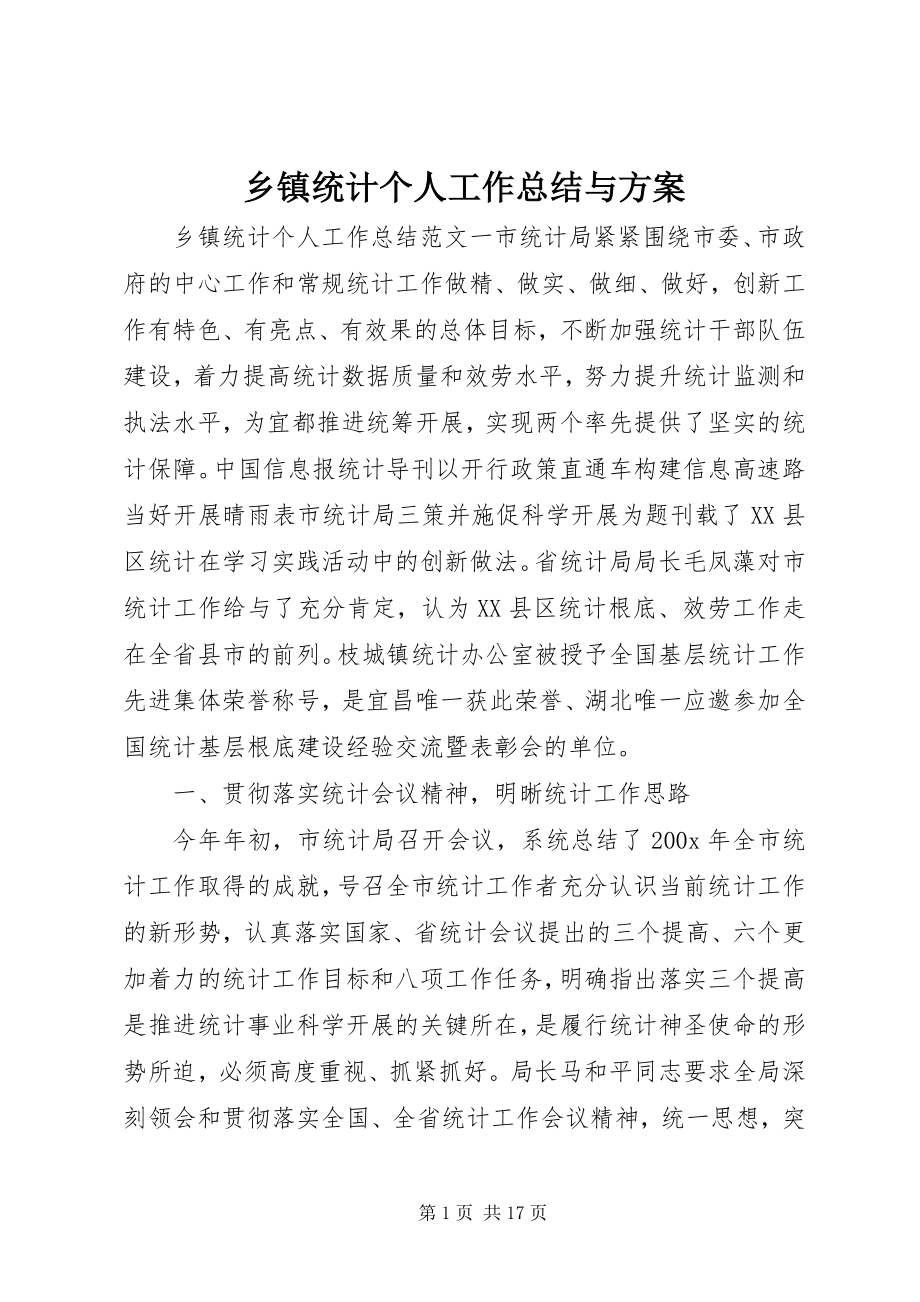 2023年乡镇统计个人工作总结与计划.docx_第1页