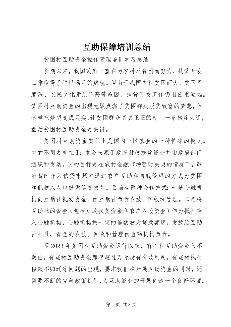 2023年互助保障培训总结.docx_第1页