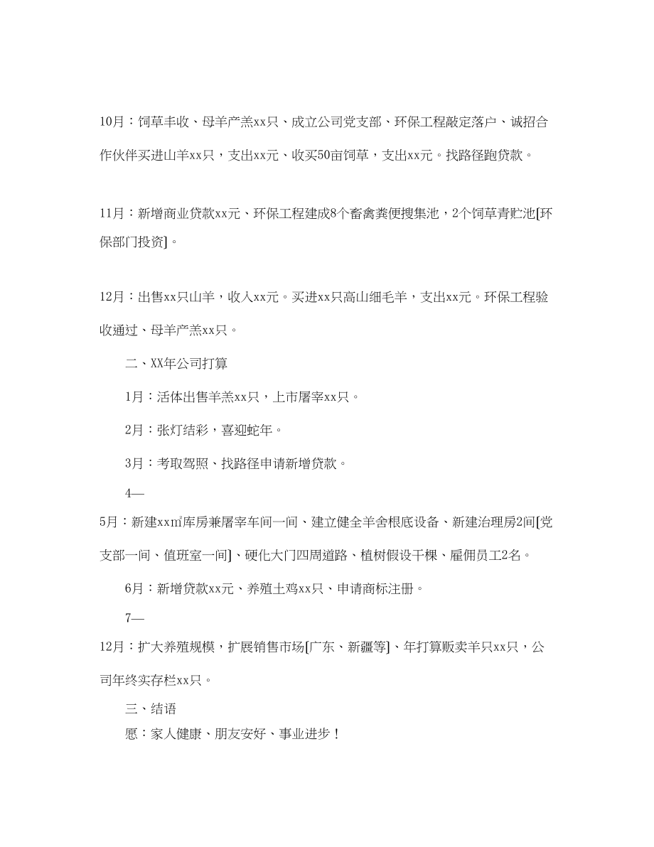 2023年公司企业计划书范文.docx_第2页