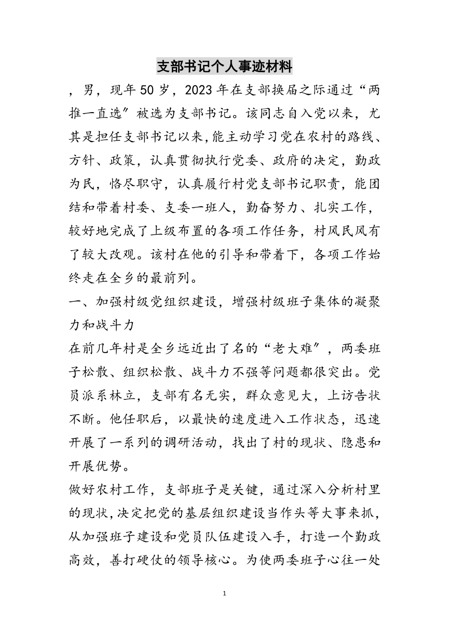 2023年支部书记个人事迹材料范文.doc_第1页