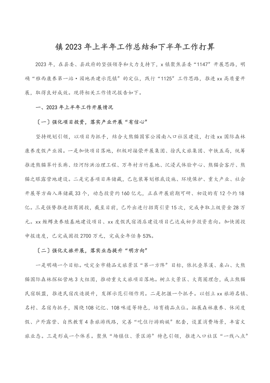 镇2023年上半年工作总结和下半年工作打算（范文）.docx_第1页