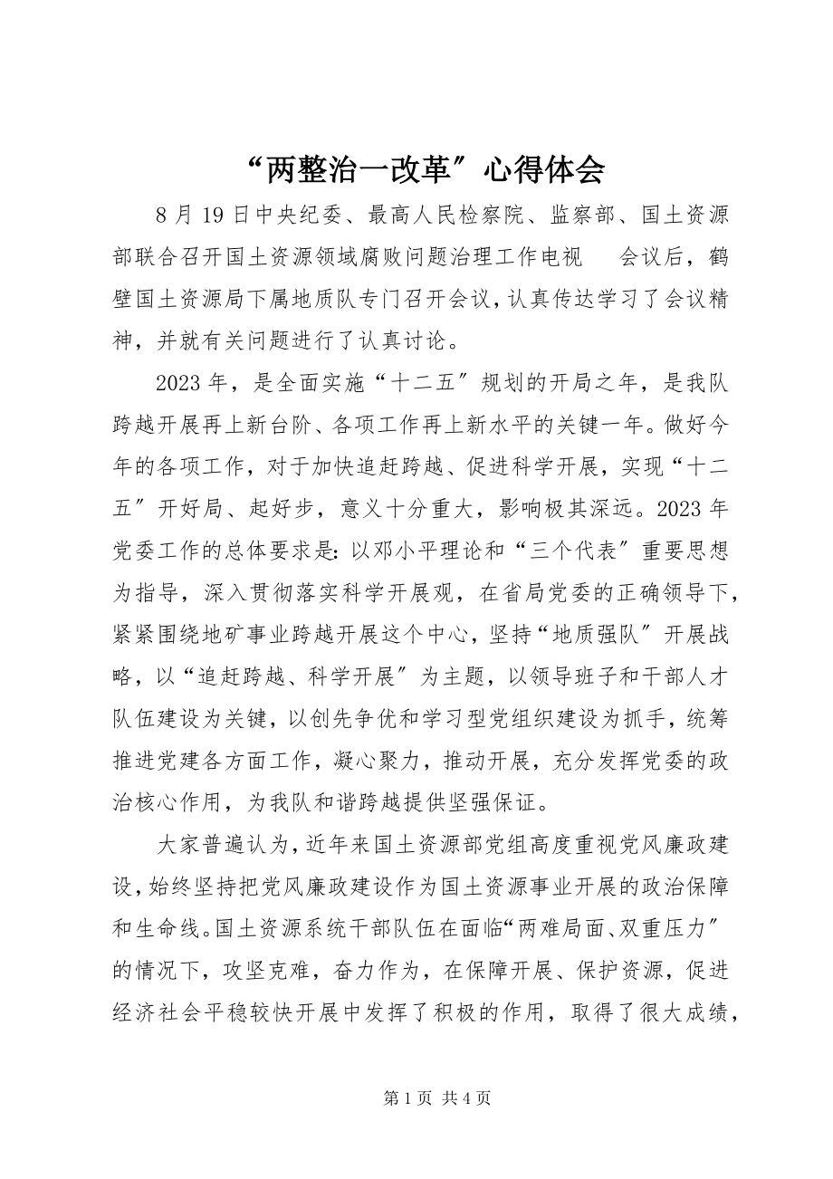 2023年“两整治一改革”心得体会新编.docx_第1页