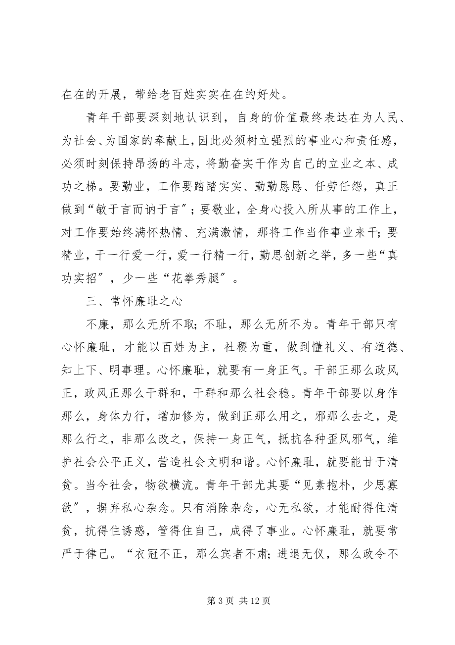 2023年区长在青年干部培训会讲话.docx_第3页