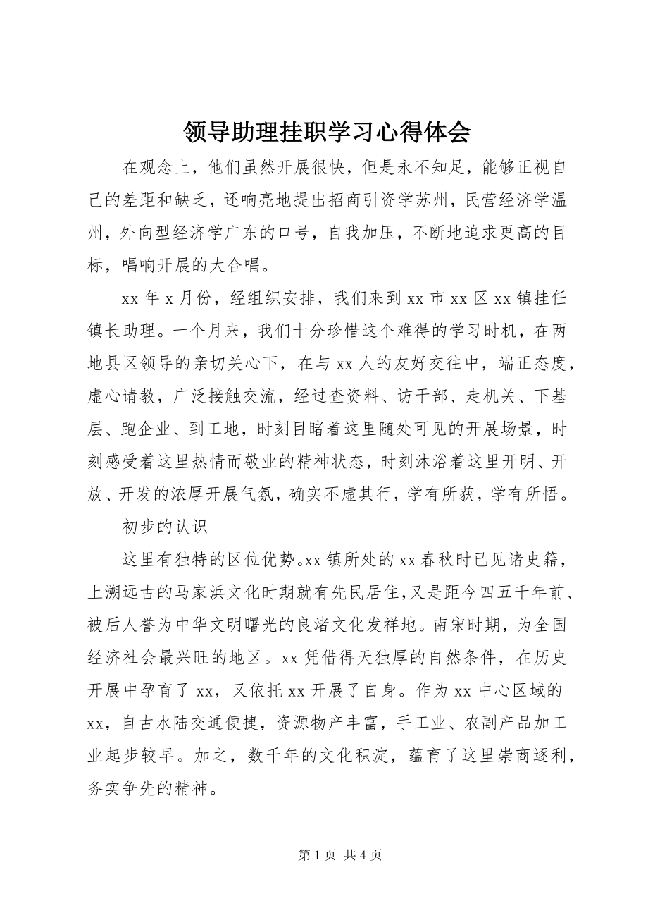 2023年领导助理挂职学习心得体会.docx_第1页