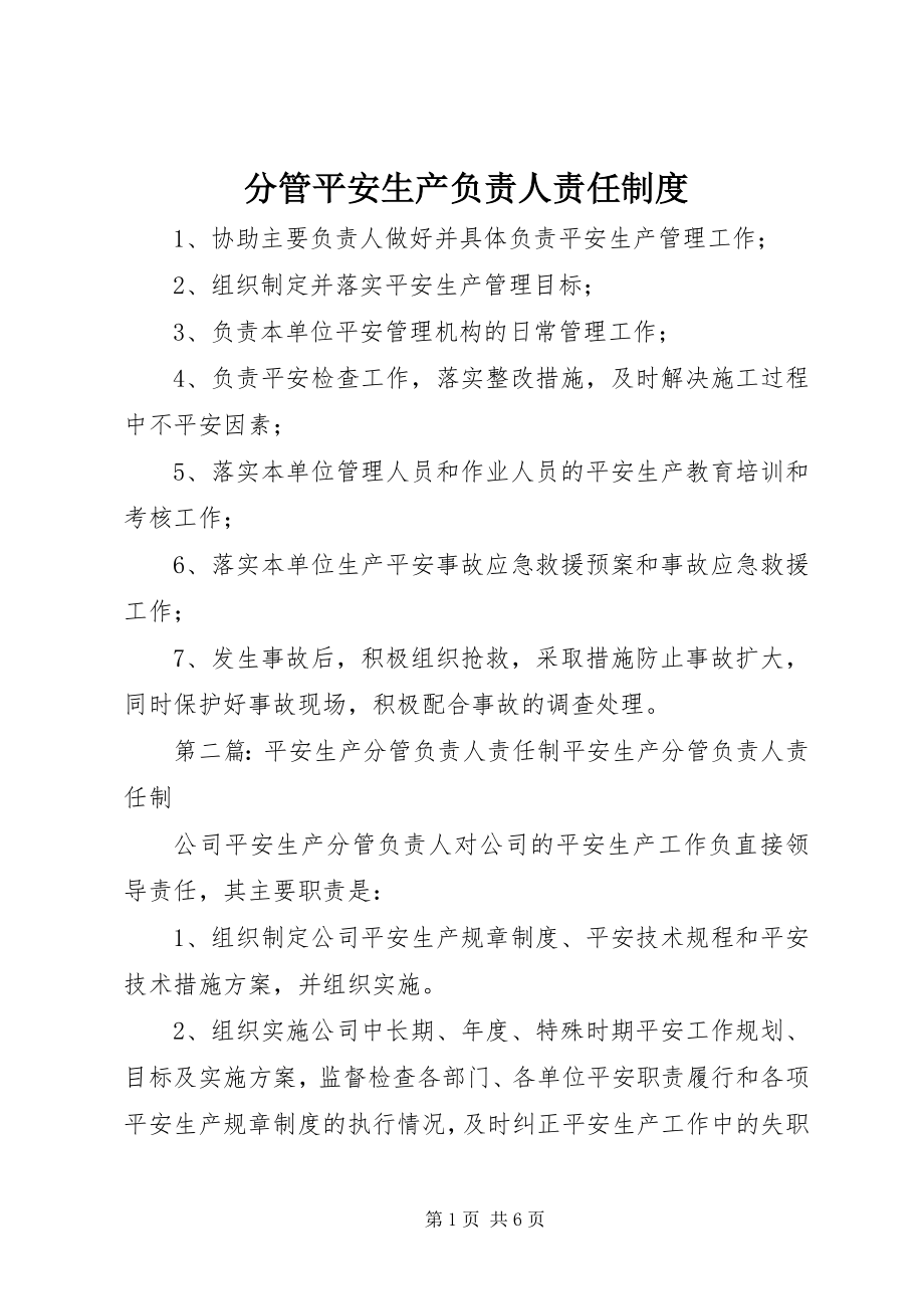 2023年分管安全生产负责人责任制度.docx_第1页