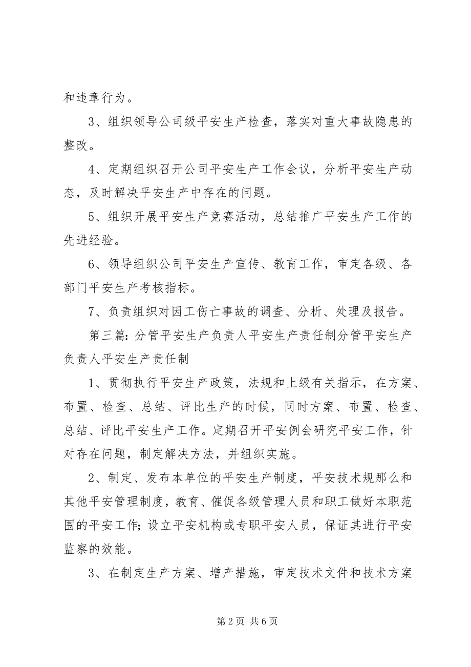 2023年分管安全生产负责人责任制度.docx_第2页