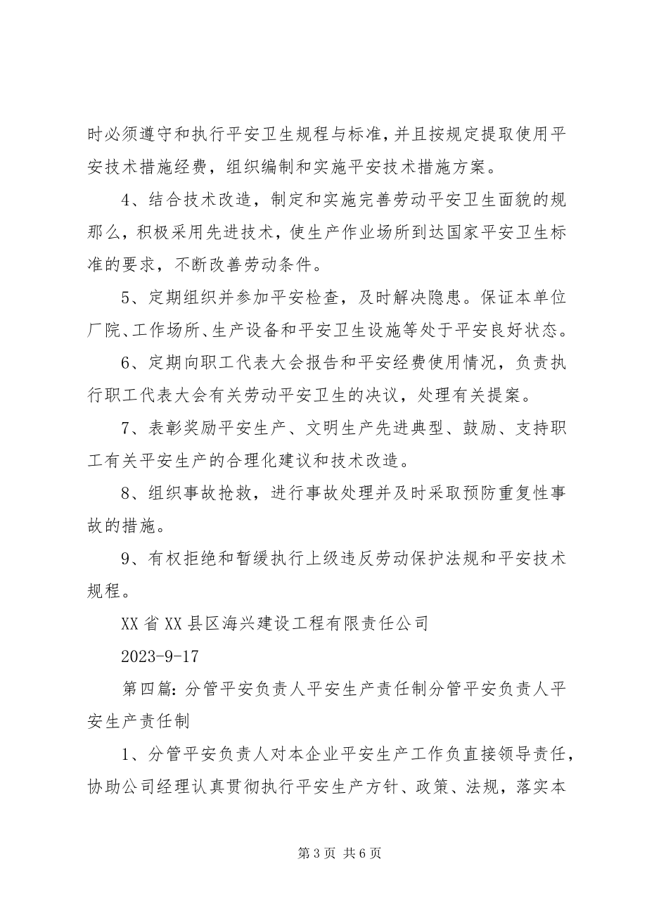 2023年分管安全生产负责人责任制度.docx_第3页