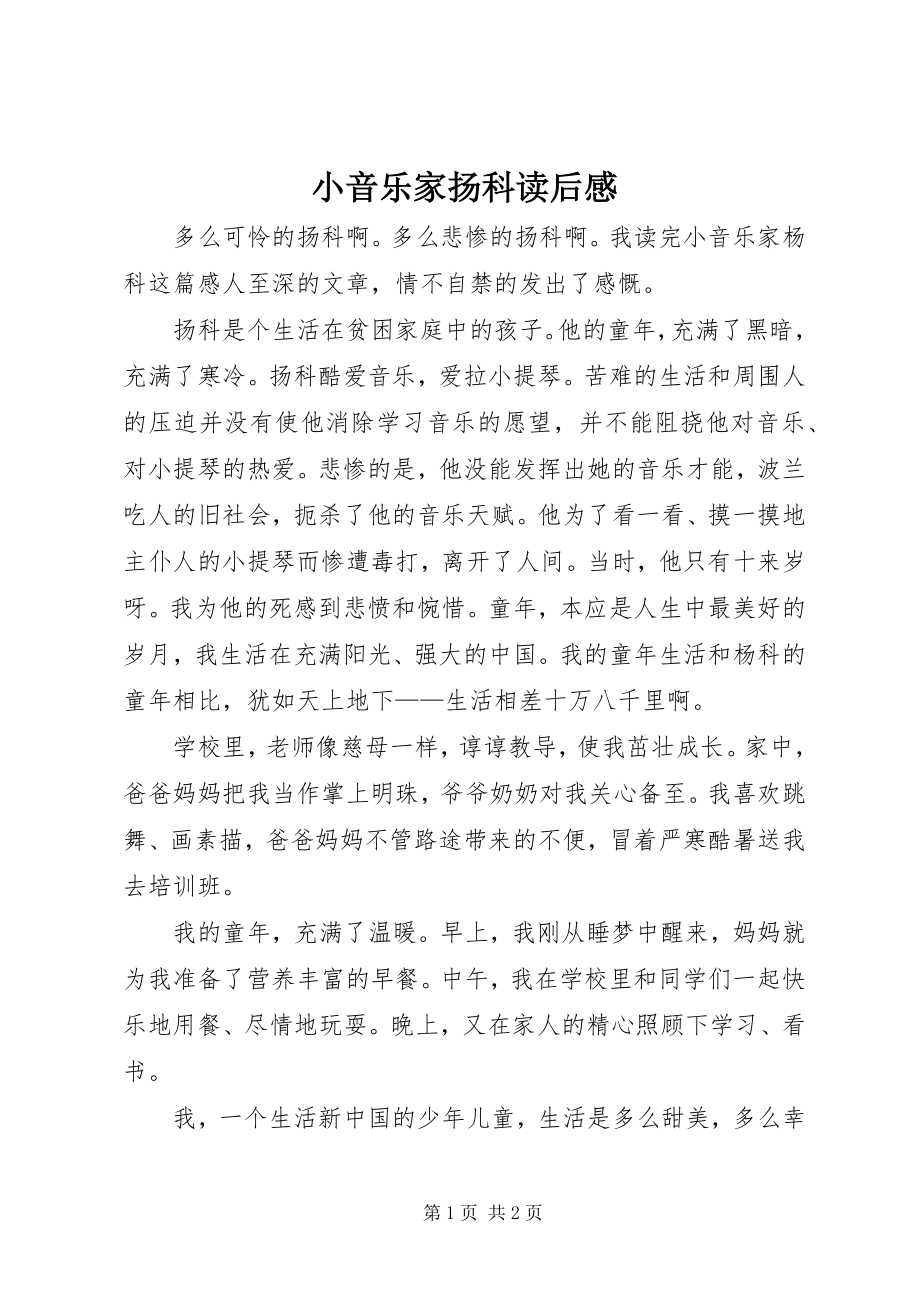 2023年小音乐家扬科读后感.docx_第1页