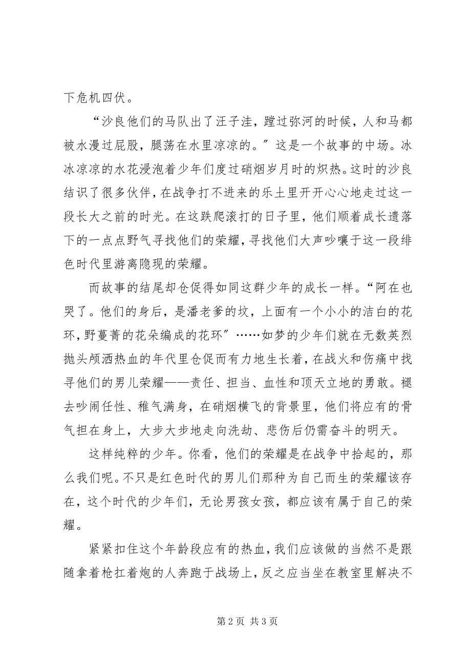 2023年《少年的荣耀》读后感荣耀新编.docx_第2页