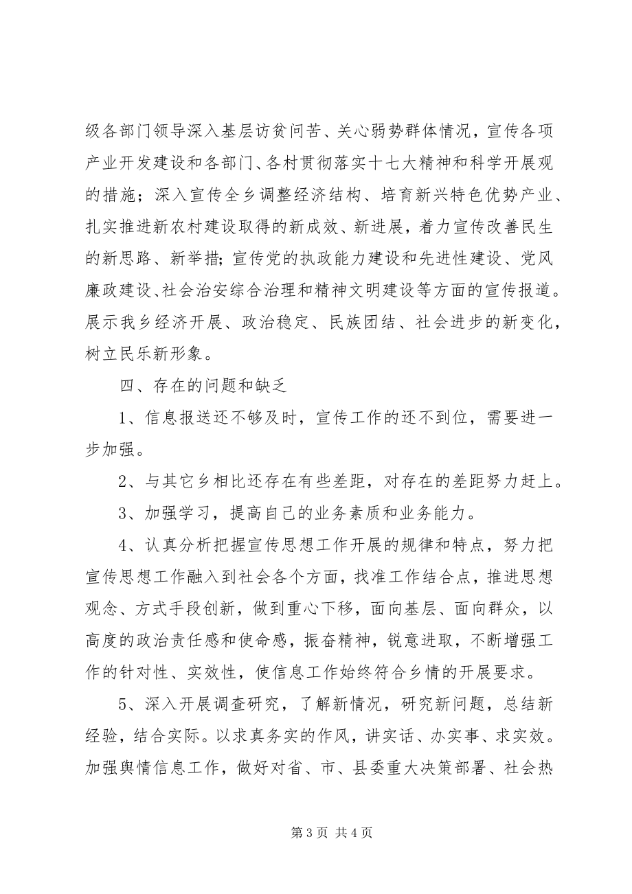 2023年乡镇信息工作总结暨工作计划.docx_第3页