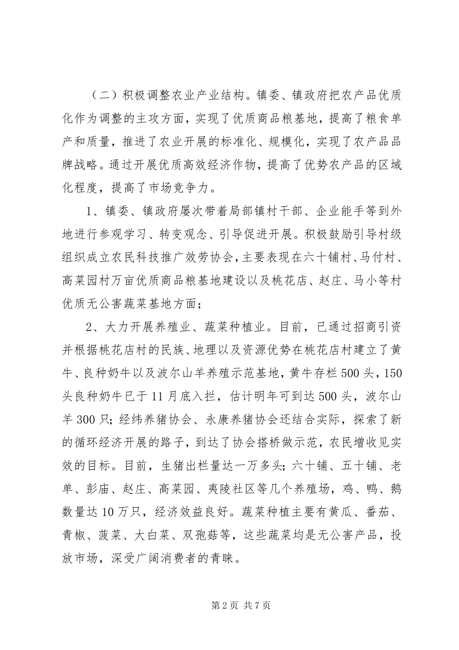 2023年某镇二七年工作总结镇干部工作总结.docx_第2页