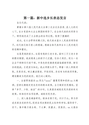 2023年xx新当选乡长表态讲话新编.docx