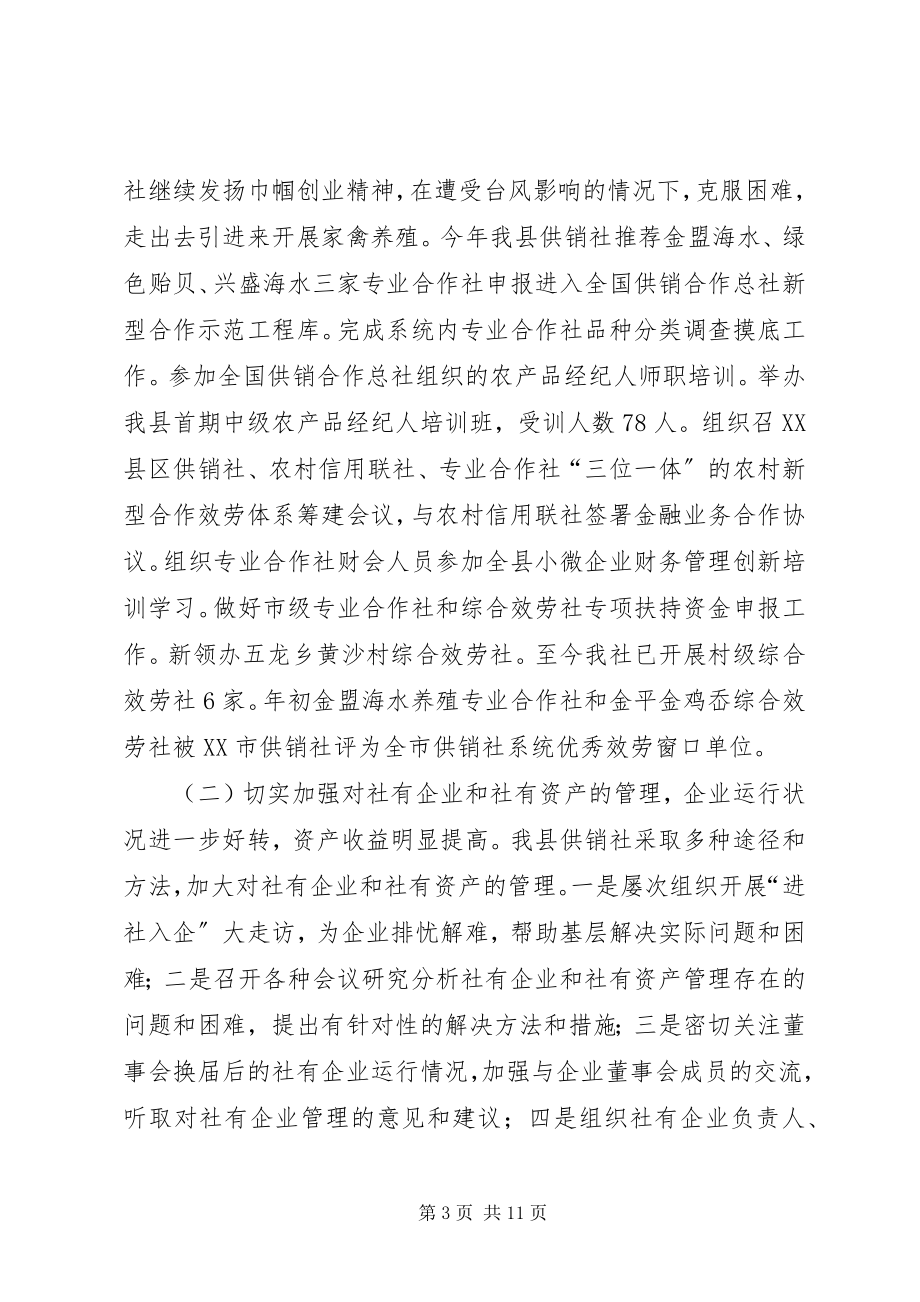 2023年供销社联社年度工作总结.docx_第3页