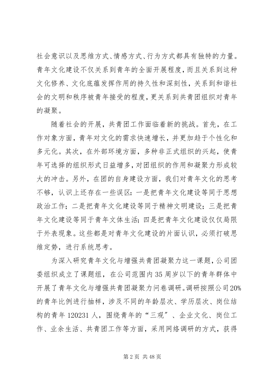 2023年青年文化与增强共青团凝聚力问题及对策5篇.docx_第2页