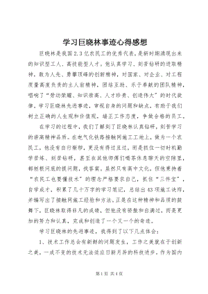 2023年学习巨晓林事迹心得感想.docx