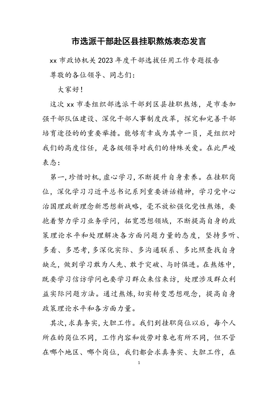 2023年市选派干部赴区县挂职锻炼表态发言2.doc_第1页