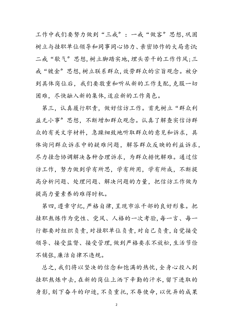 2023年市选派干部赴区县挂职锻炼表态发言2.doc_第2页