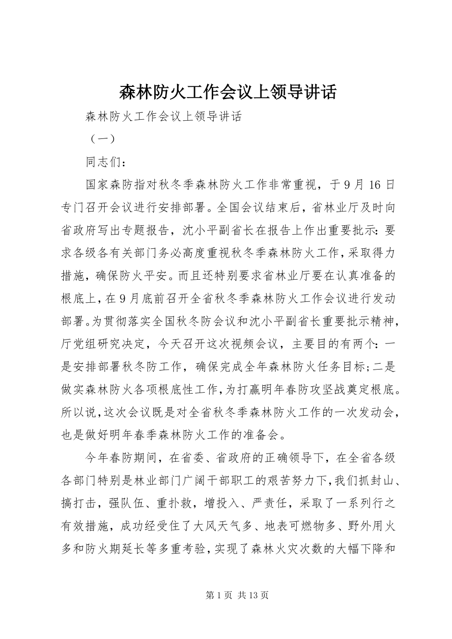 2023年森林防火工作会议上领导致辞.docx_第1页