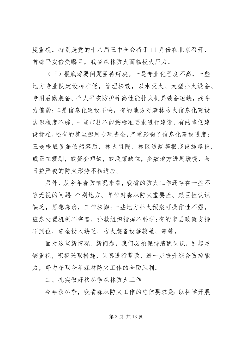 2023年森林防火工作会议上领导致辞.docx_第3页