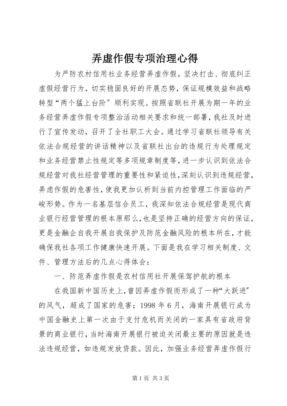 2023年弄虚作假专项治理心得.docx_第1页