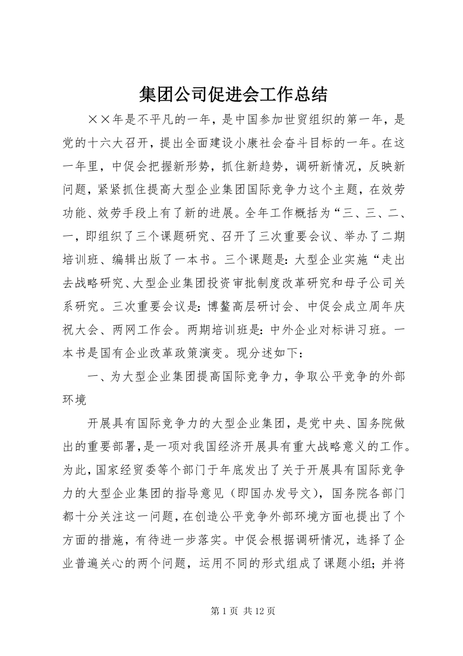 2023年集团公司促进会工作总结.docx_第1页